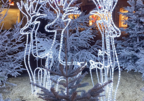 ILLUMINATION